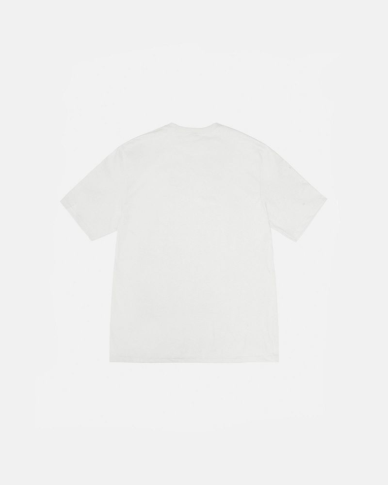 STUSSY LAGUNA USA TEE PIGMENT DYED Beige | STUSSY-56327