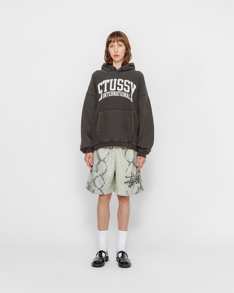 STUSSY RELAXED HOODIE INTERNATIONAL Noir | STUSSY-55850