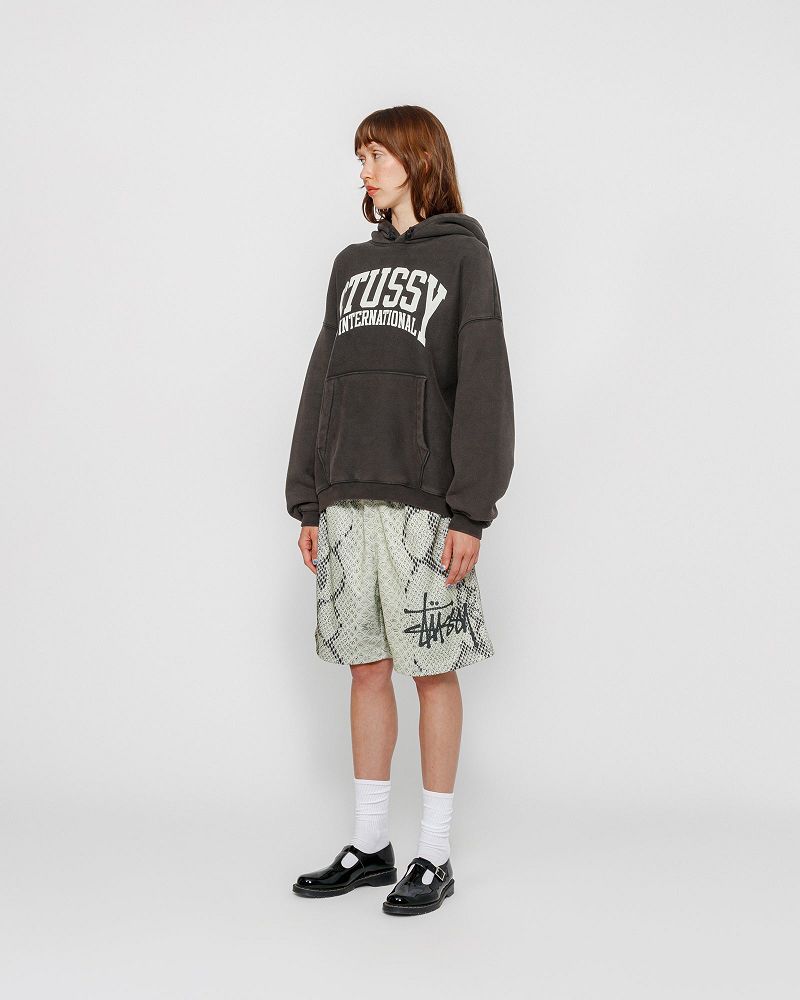 STUSSY RELAXED HOODIE INTERNATIONAL Noir | STUSSY-55850
