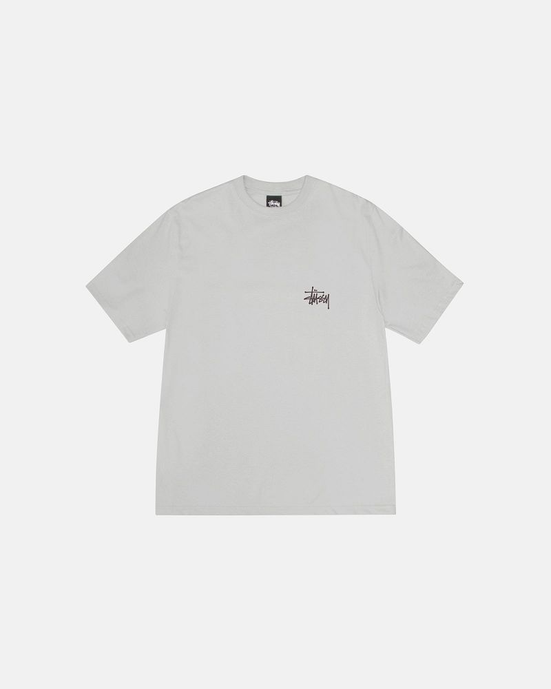 STUSSY ROACH TEE Grise Clair | STUSSY-56309