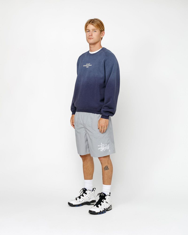 STUSSY WATER SHORT BIG BASIC Grise | STUSSY-56057