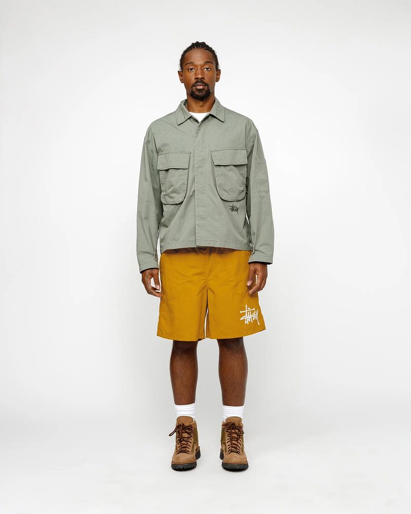 STUSSY WATER SHORT BIG BASIC Orange | STUSSY-56060