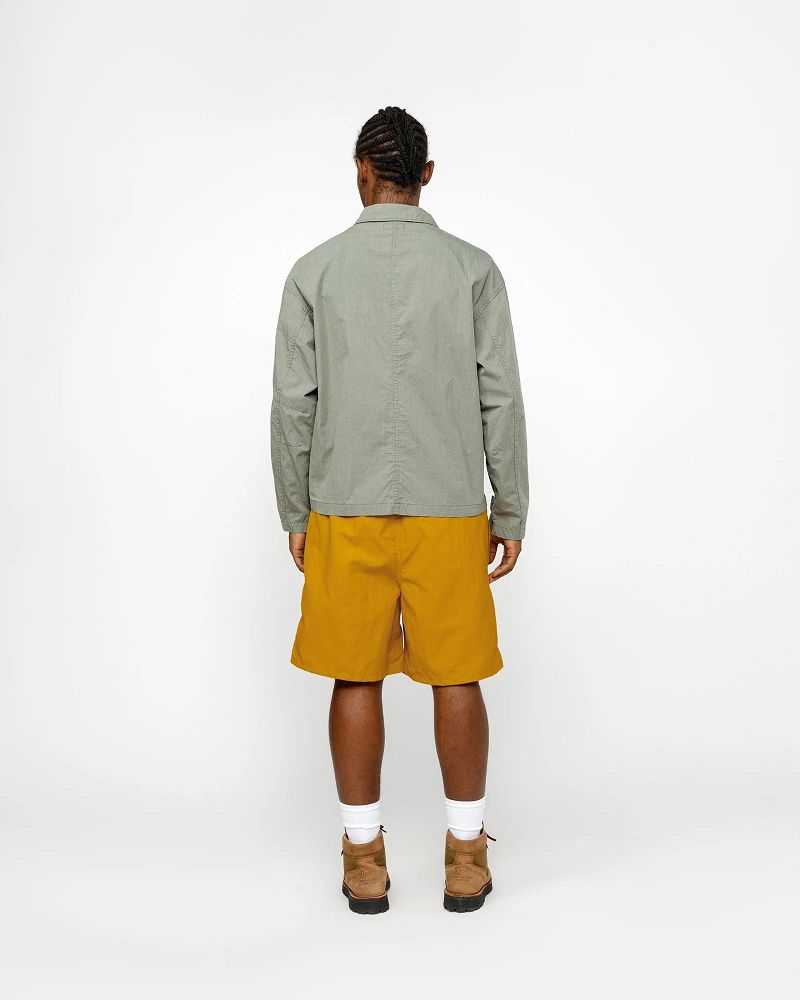 STUSSY WATER SHORT BIG BASIC Orange | STUSSY-56060